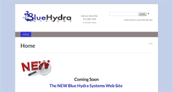 Desktop Screenshot of bluehydrasystems.com